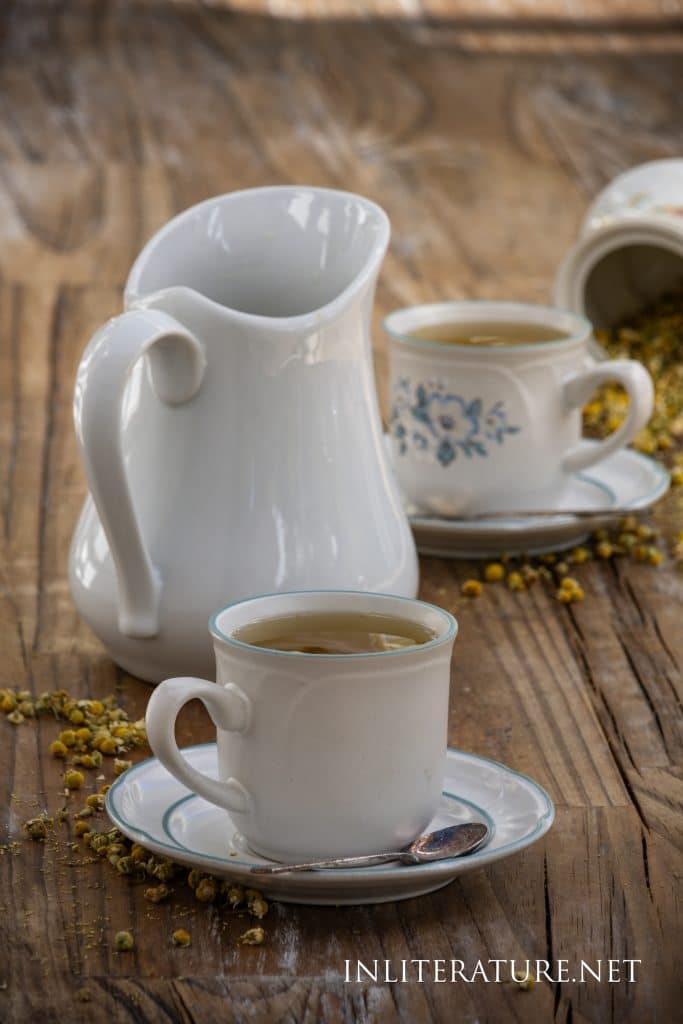 Mrs. Rabbit’s Camomile and Apple Cooler | The Tale of Peter Rabbit