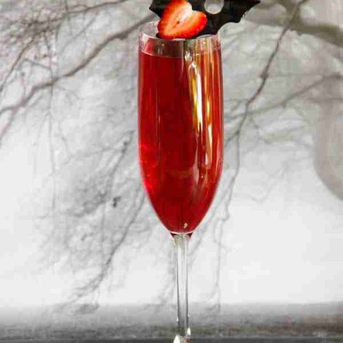 Twilight inspired Bat Bite Cocktail Food in Literature